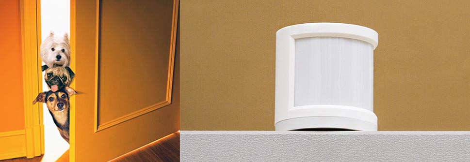 контроль за животными с помощью датчика контроль за животными с помощью датчика