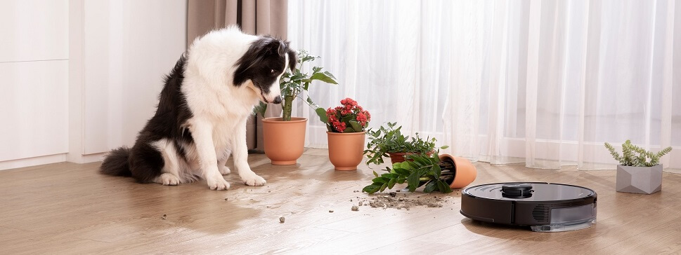 мощный пылесос мощный пылесос